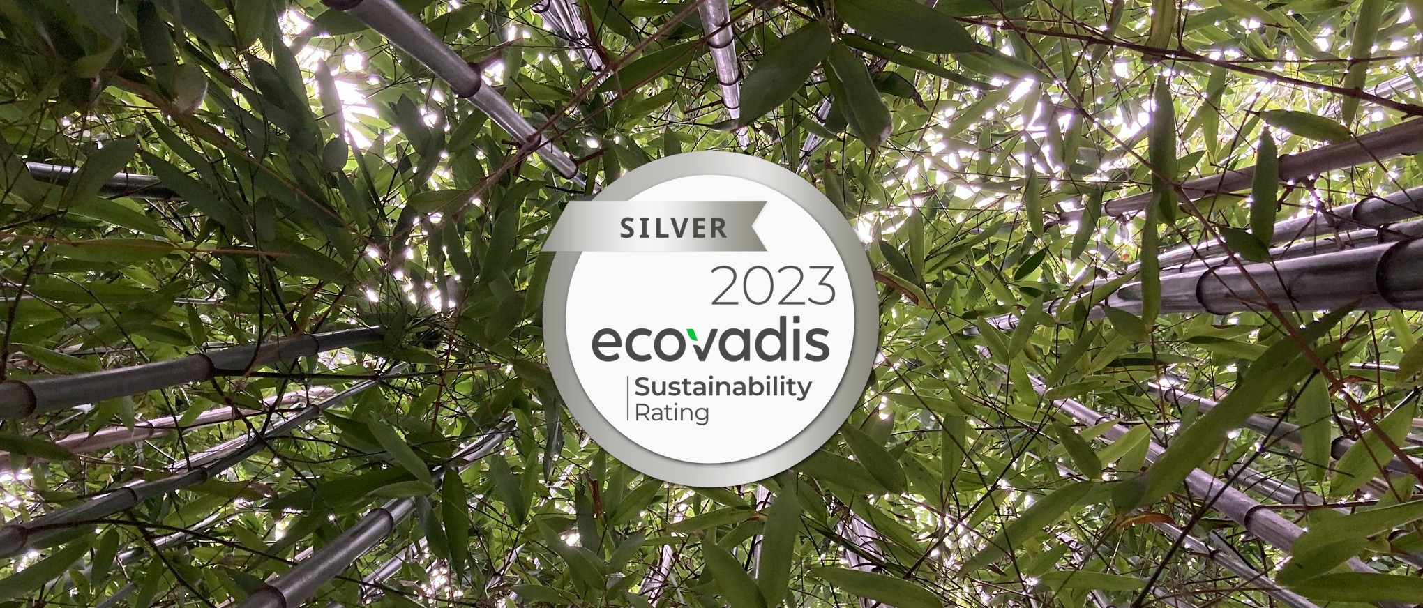 TW Solar Factory Awarded Silver Ecovadis Rating